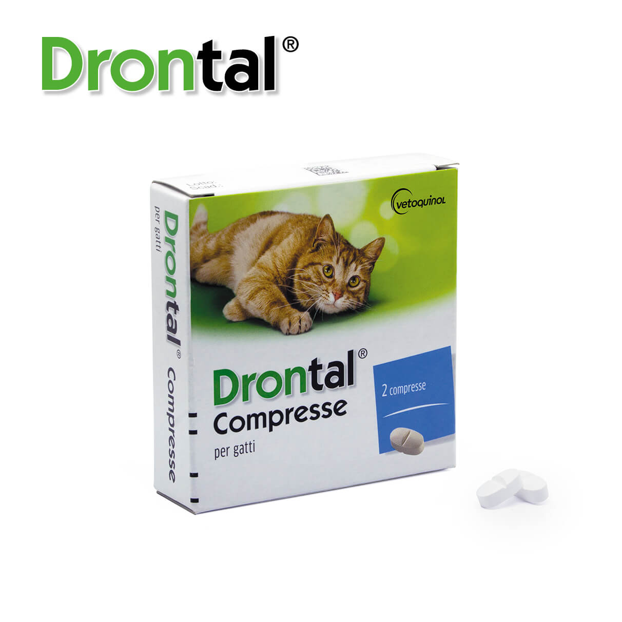 drontal gatto 1