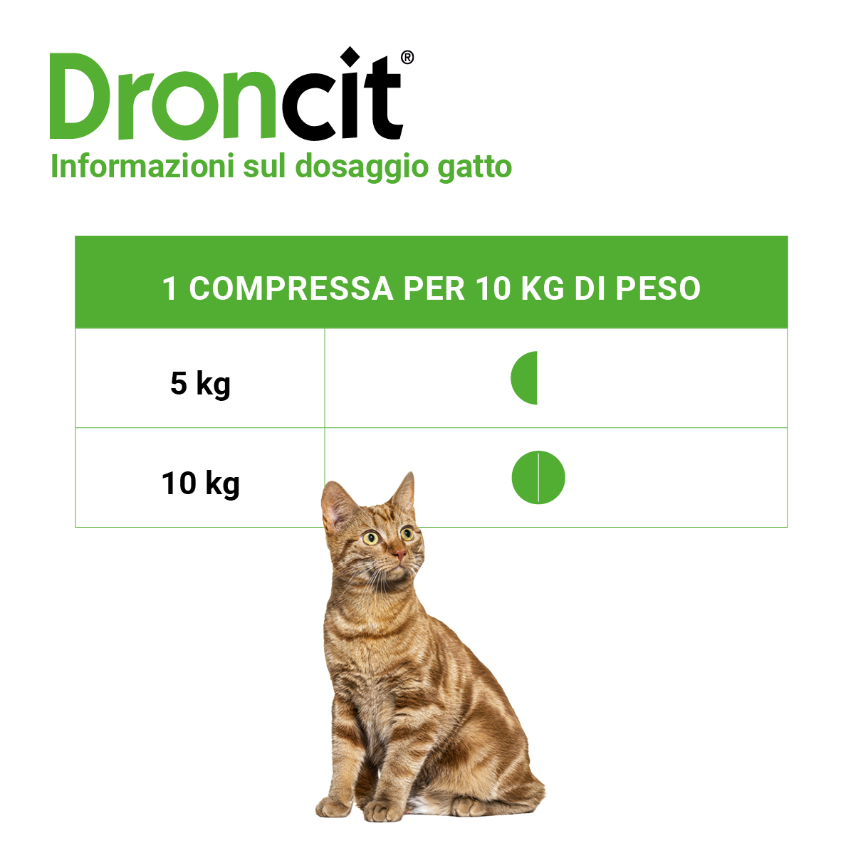 Nuovo slider con nuovi loghi e pack Droncit