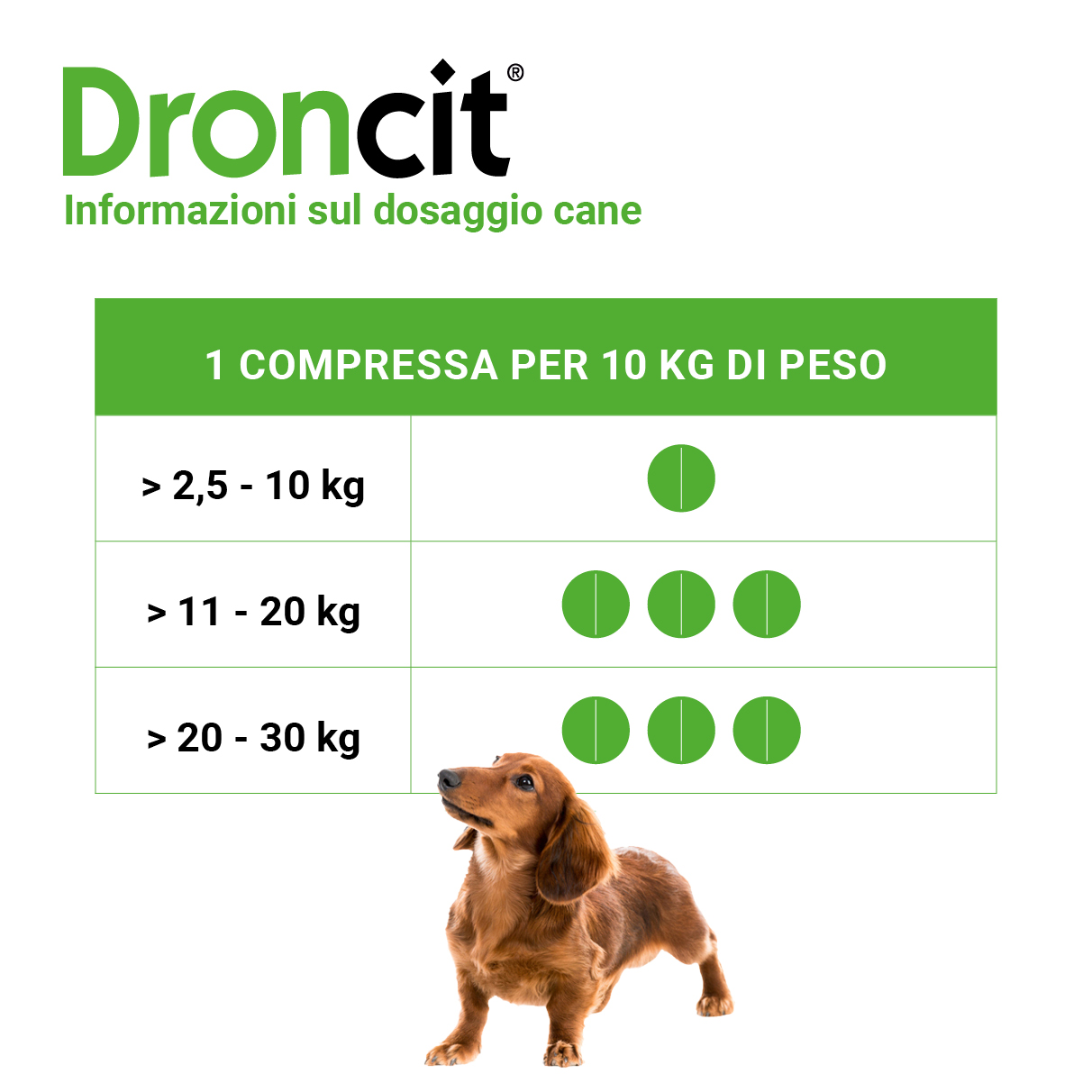 Nuovo slider con nuovi loghi e pack Droncit2