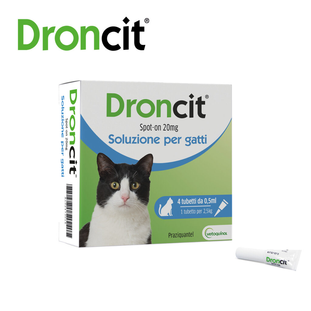 droncit spot on gatti