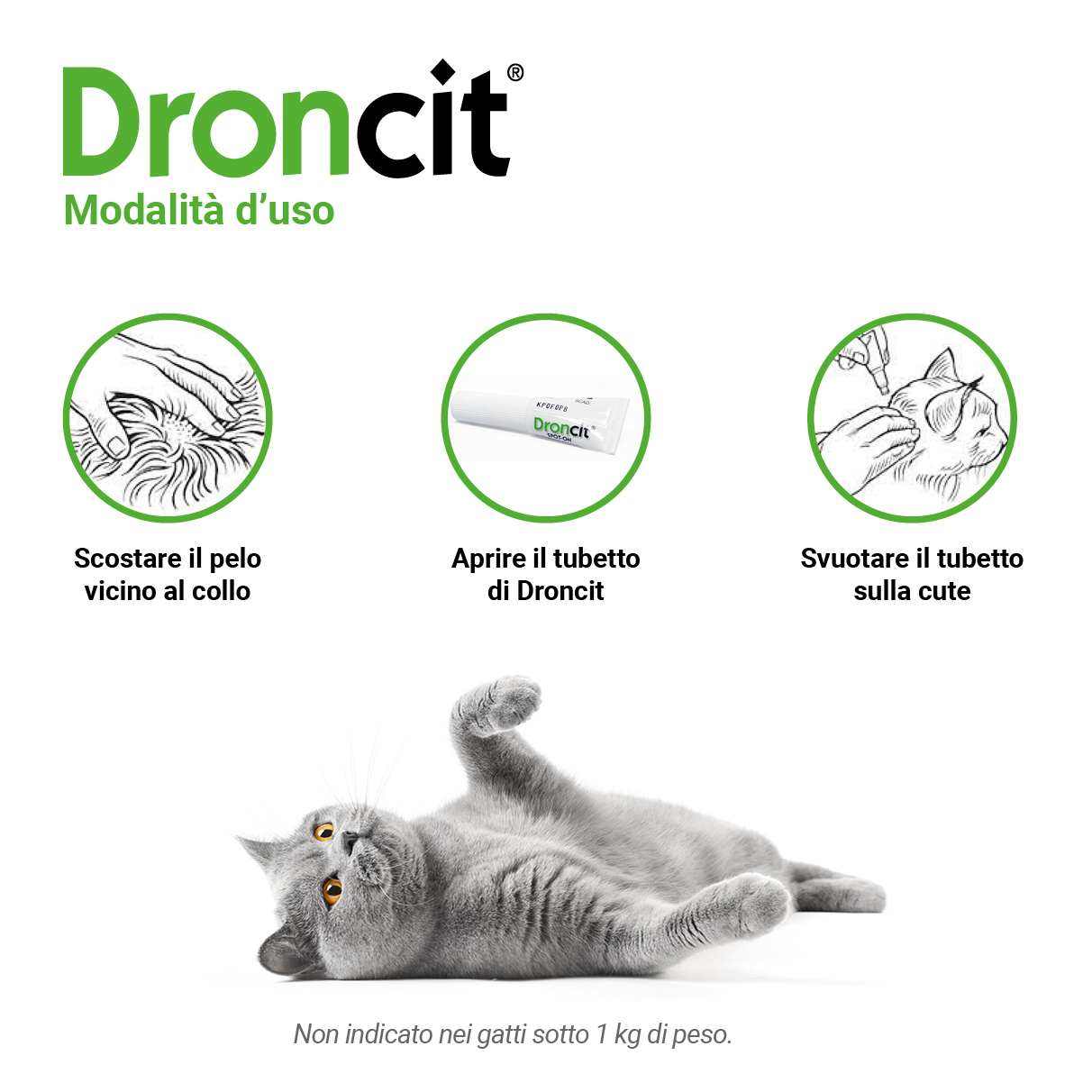 Nuovo slider con nuovi loghi e pack18