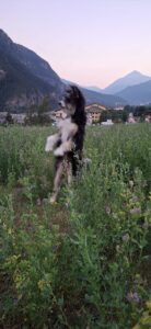 Lilù