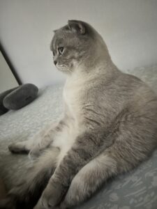 Pablo
