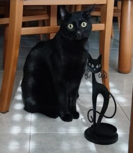 Luna